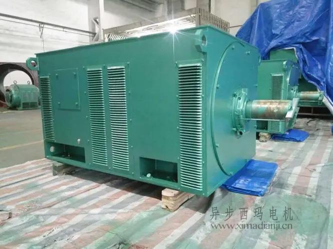 西瑪電機(jī)Y5603-10 560KW <a href=http://www.qdnjzz.com/new/new-47-621.html target='_blank'><a href=http://www.qdnjzz.com/new_tags_225.html target='_blank'>10kv高壓電機(jī)</a></a>
